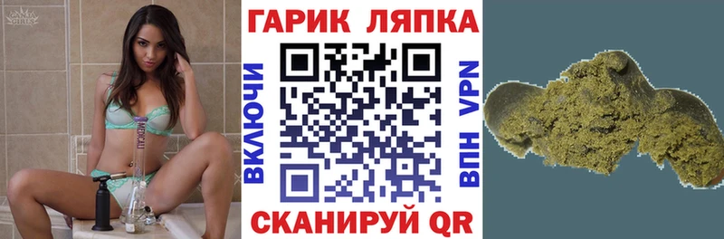 ГАШ Premium купить Починок