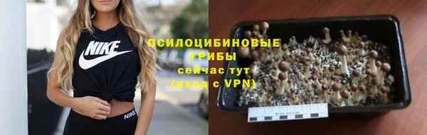 мяу мяу мука Абинск