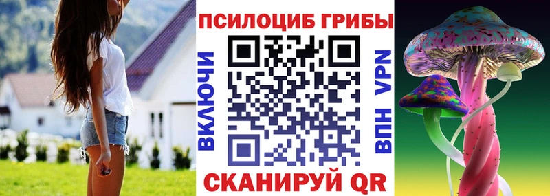 Галлюциногенные грибы Psilocybine cubensis  Починок 